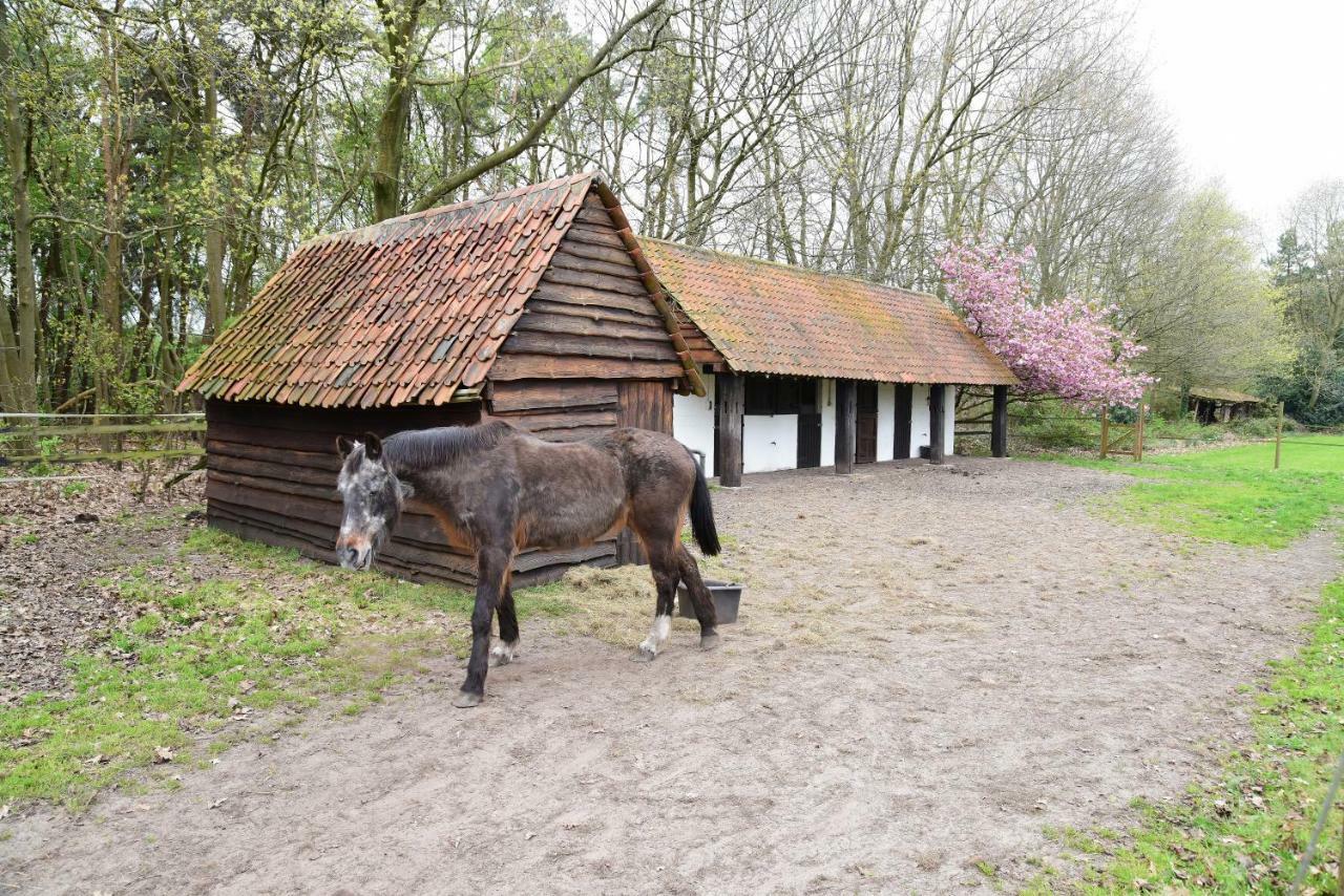 B&B Domein Rodin Oud-Turnhout Exteriér fotografie