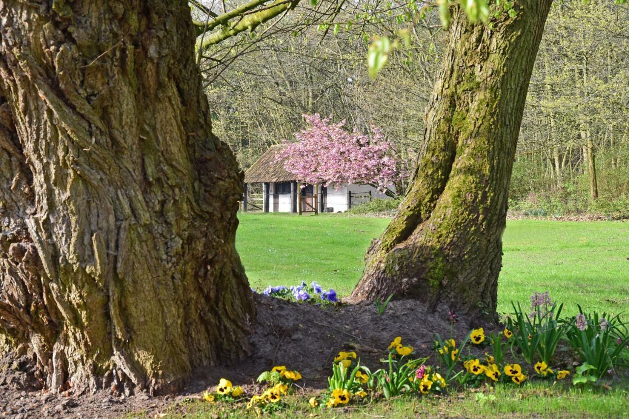 B&B Domein Rodin Oud-Turnhout Exteriér fotografie
